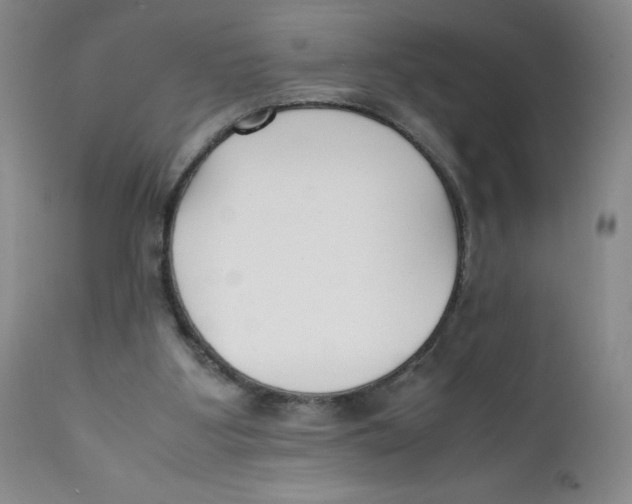 X0000112170107200909041200