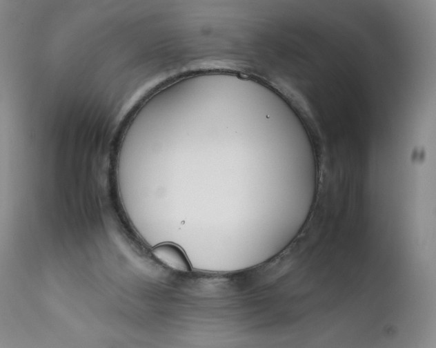 X0000112170108200909041200