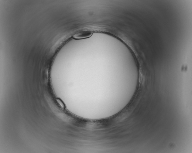 X0000112170109200909041200