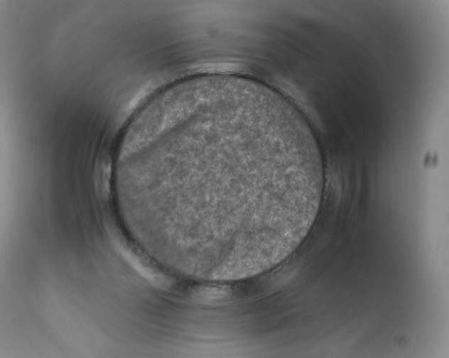 X0000112170110200909041200