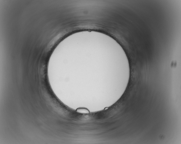 X0000112170111200909041200