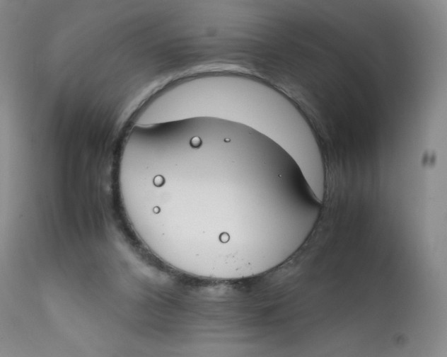 X0000112170112200909041200