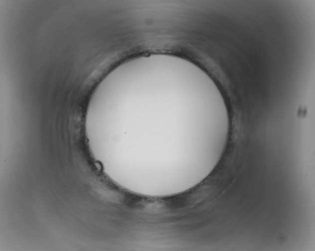 X0000112170113200909041200