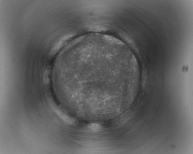 X0000112170114200909041200