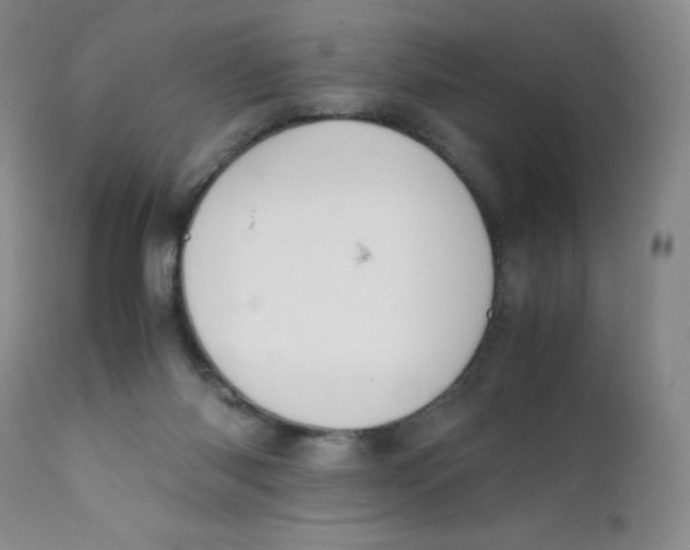 X0000112170118200909041200