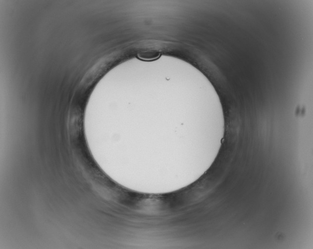 X0000112170119200909041200