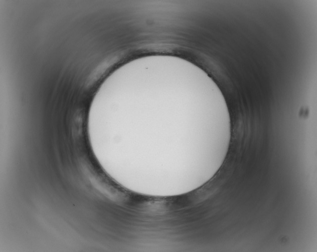 X0000112170120200909041200