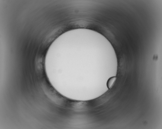 X0000112170122200909041200