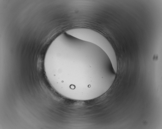 X0000112170124200909041200