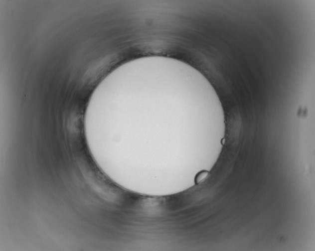 X0000112170126200909041200