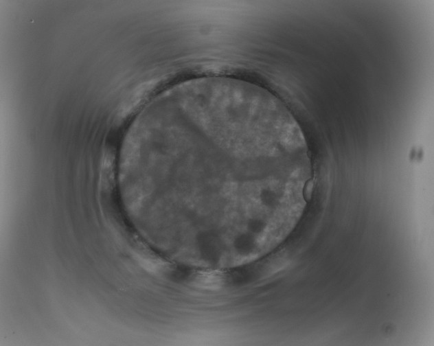 X0000112170127200909041200