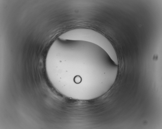 X0000112170128200909041200