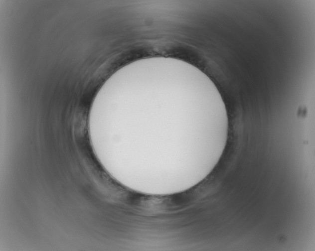 X0000112170129200909041200