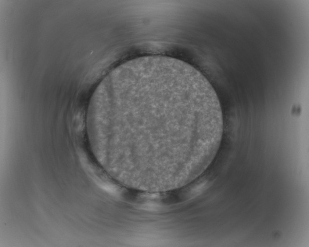 X0000112170131200909041200