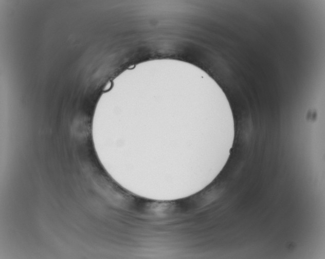 X0000112170135200909041200