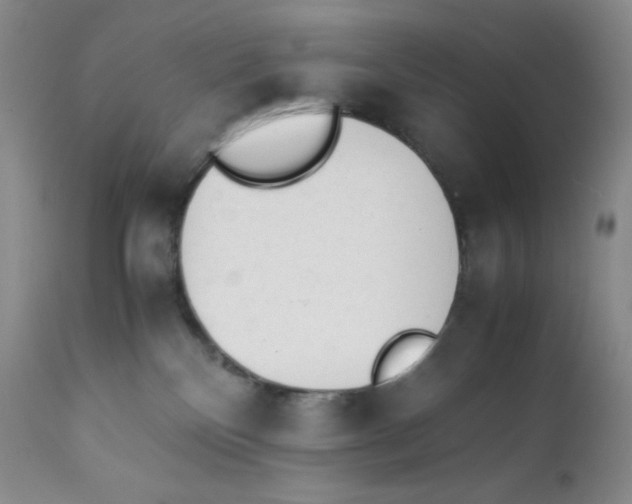 X0000112170136200909041200