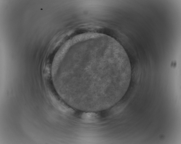 X0000112170137200909041200