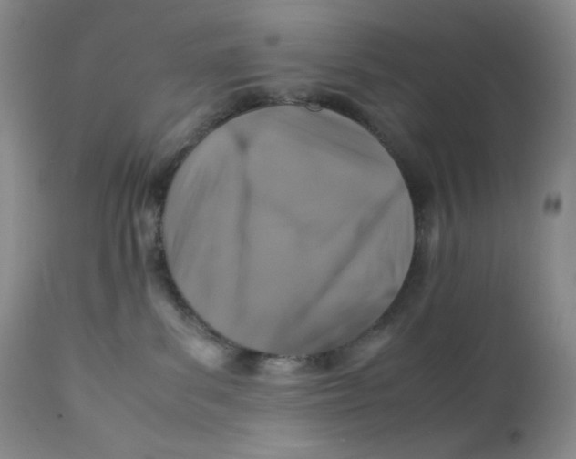 X0000112170139200909041200