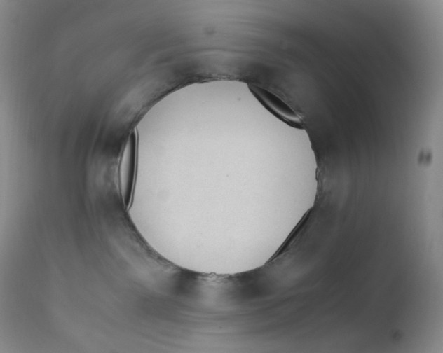 X0000112170141200909041200