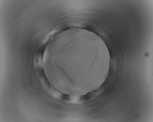 X0000112170143200909041200