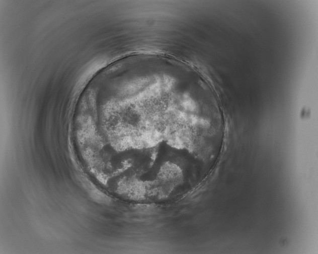 X0000112170145200909041159