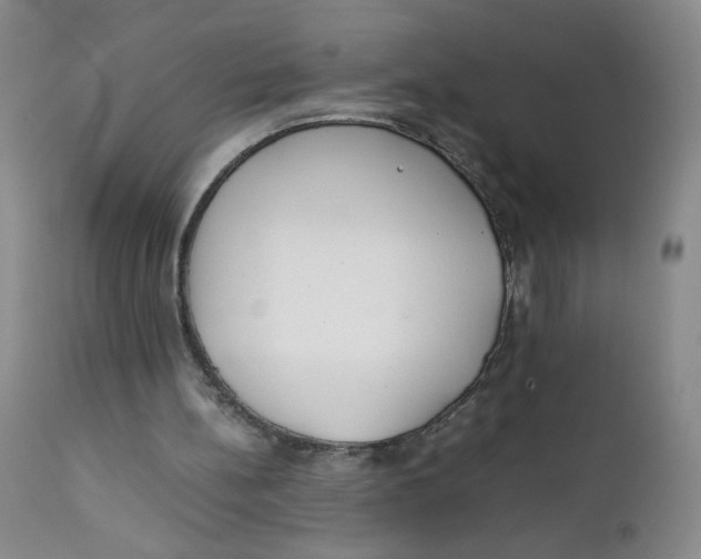 X0000112170148200909041159