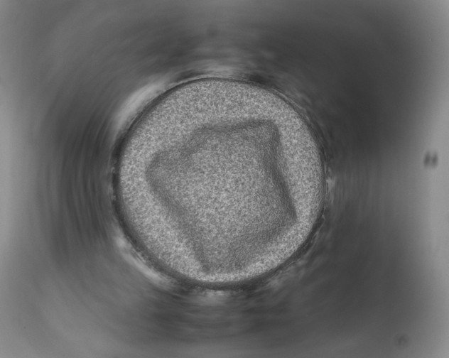 X0000112170149200909041159