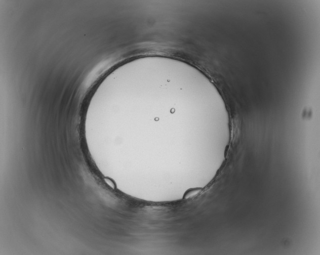 X0000112170150200909041159