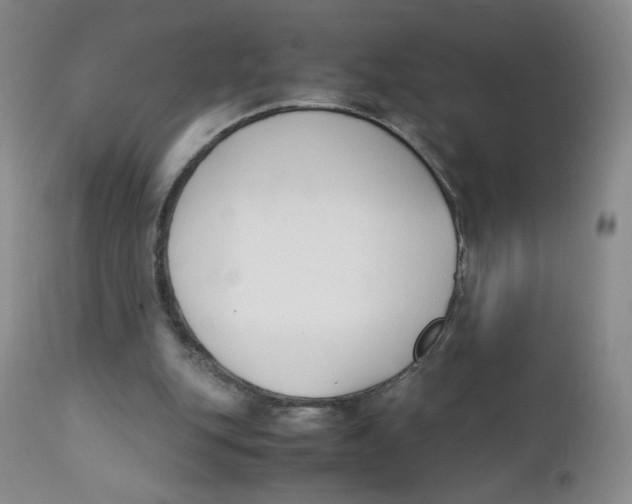 X0000112170151200909041159