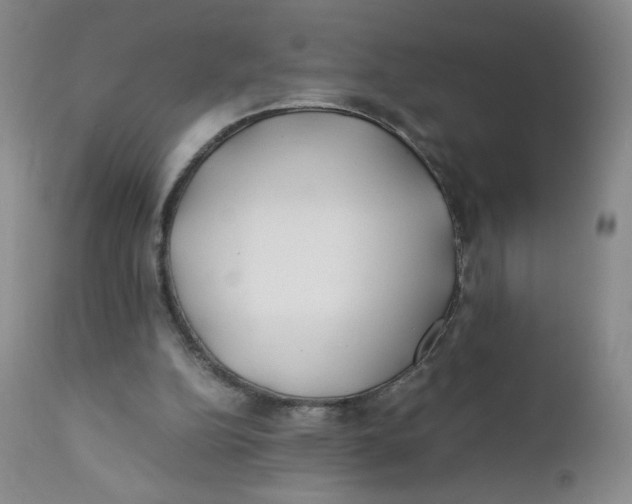 X0000112170152200909041159