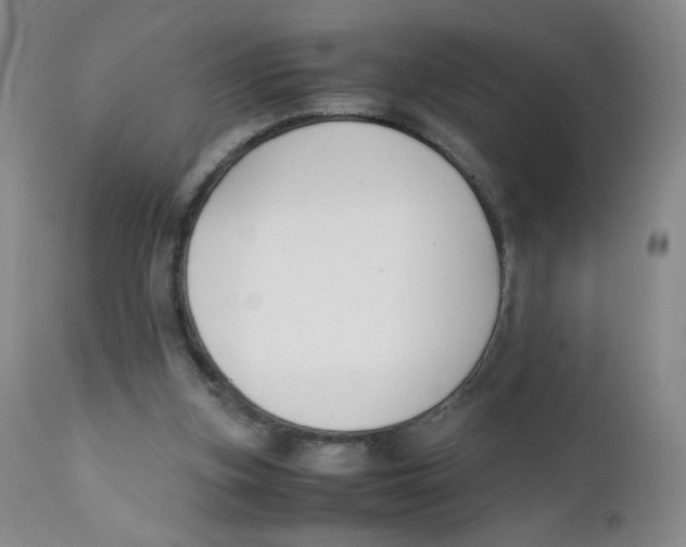 X0000112170155200909041159