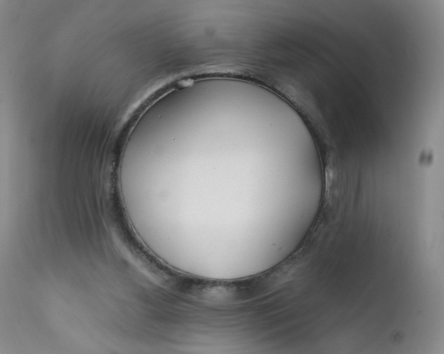 X0000112170156200909041159