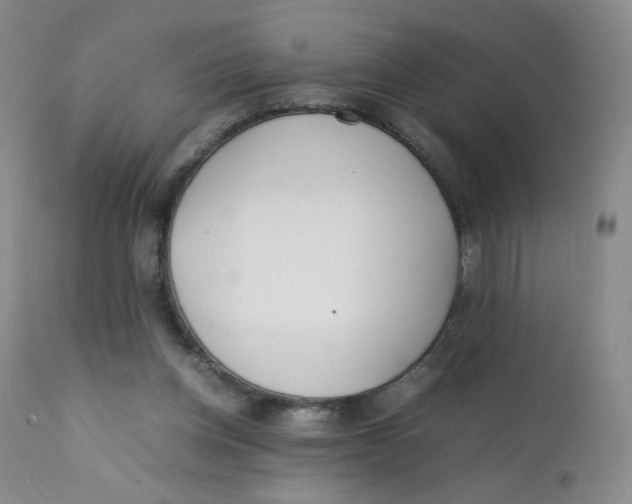 X0000112170158200909041159