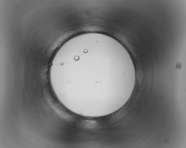 X0000112170159200909041159