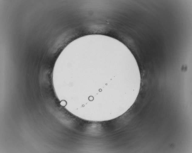 X0000112170162200909041159