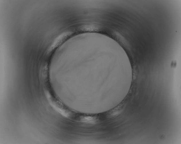 X0000112170163200909041159