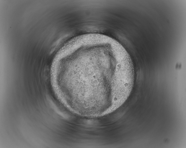 X0000112170165200909041159