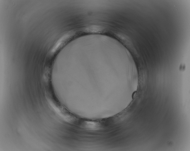 X0000112170167200909041159