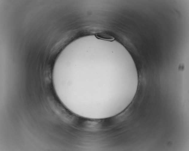 X0000112170170200909041159