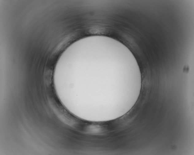 X0000112170171200909041159