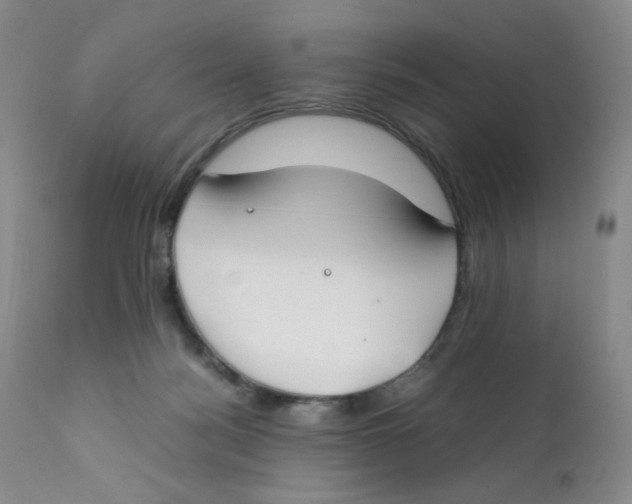 X0000112170172200909041159