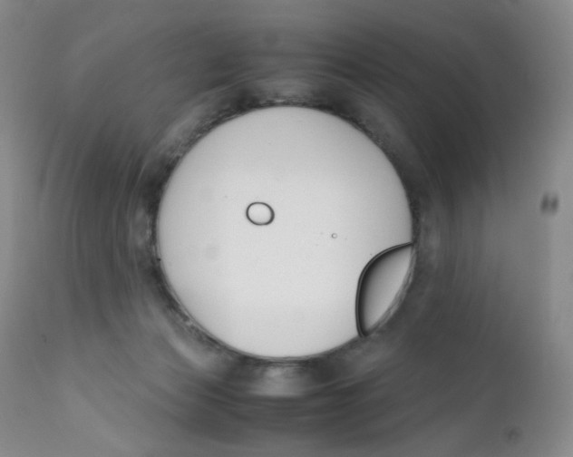 X0000112170173200909041159