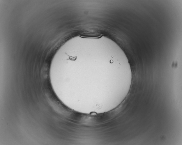 X0000112170174200909041159