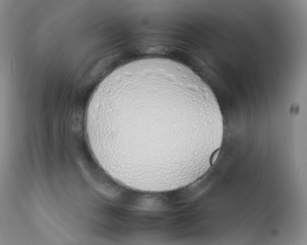 X0000112170175200909041159