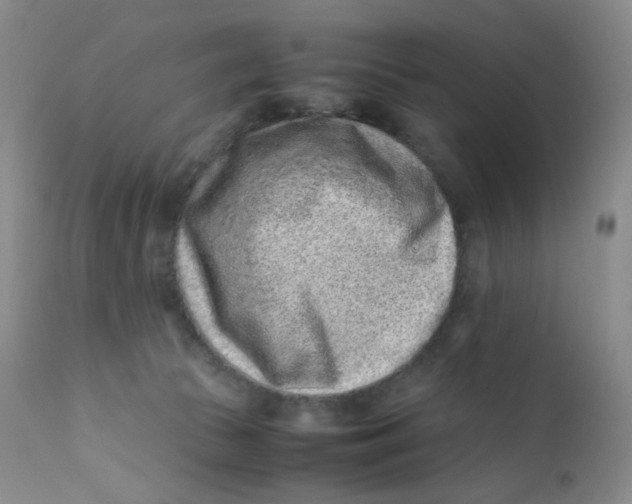 X0000112170177200909041159