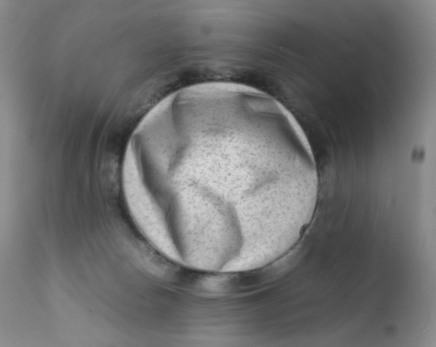 X0000112170178200909041159