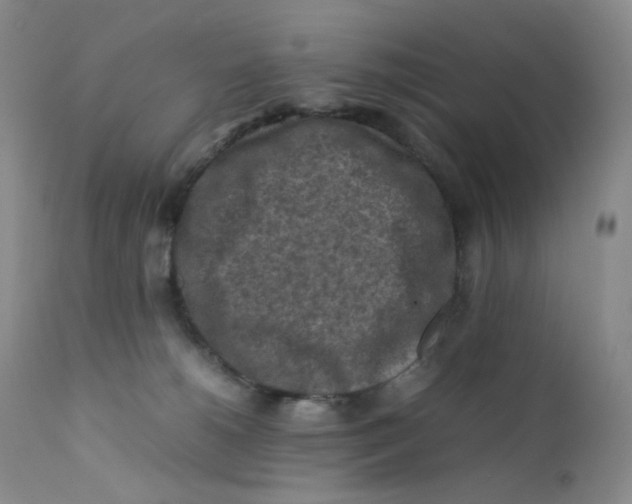 X0000112170180200909041159