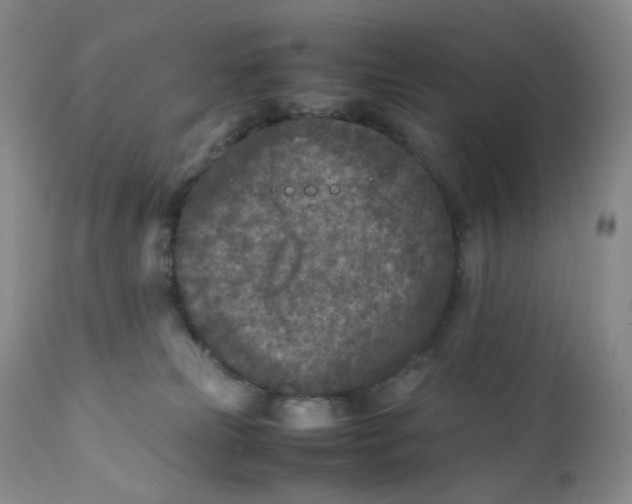 X0000112170181200909041159