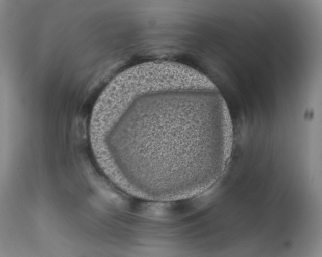 X0000112170182200909041159