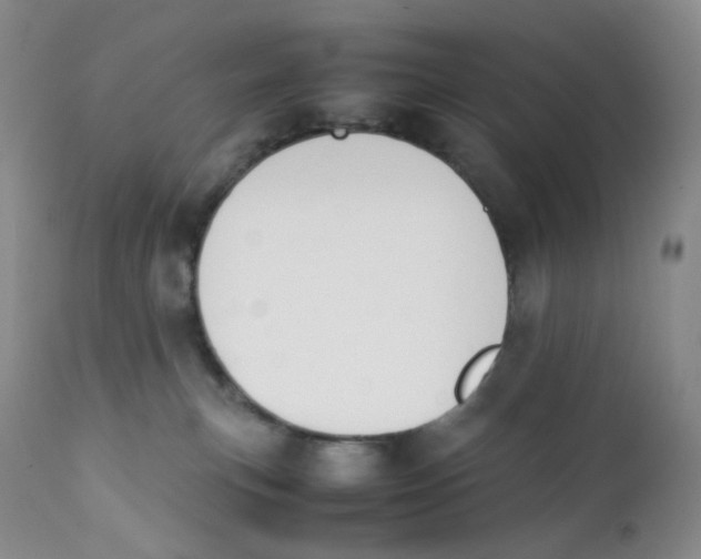 X0000112170183200909041159